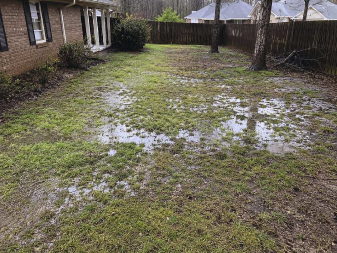 Standing water spread across a backyard after rainfall